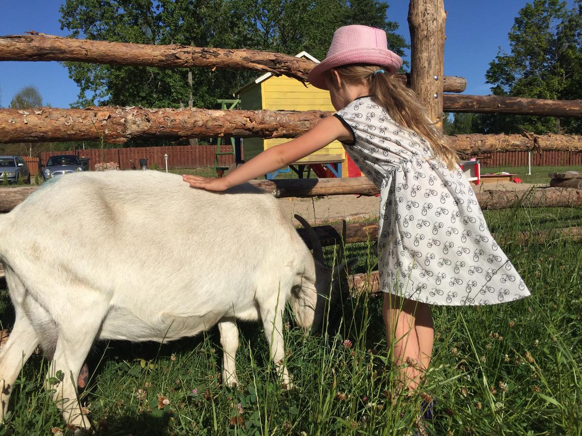 Wypoczynek Na Mazurach U Sebka Villa Łukta Dış mekan fotoğraf